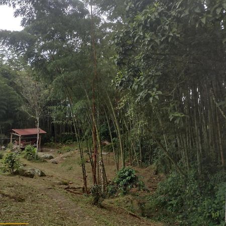 Finca Exclusividad Familiar O Grupo De Amigos Capacidad Hasta 12 Personas Calles En Placa Huella, Caminata Ecologica Alban  Eksteriør bilde