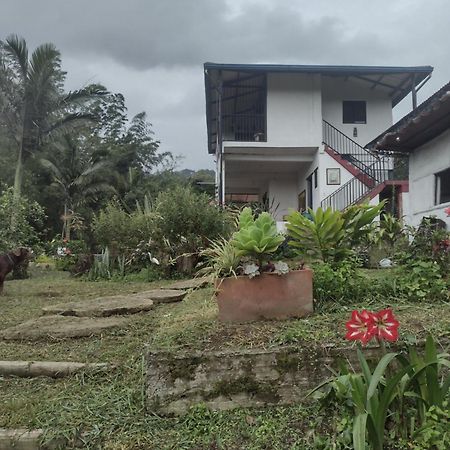 Finca Exclusividad Familiar O Grupo De Amigos Capacidad Hasta 12 Personas Calles En Placa Huella, Caminata Ecologica Alban  Eksteriør bilde