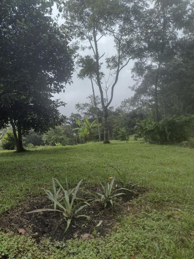 Finca Exclusividad Familiar O Grupo De Amigos Capacidad Hasta 12 Personas Calles En Placa Huella, Caminata Ecologica Alban  Eksteriør bilde