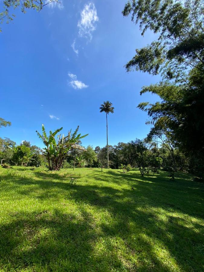 Finca Exclusividad Familiar O Grupo De Amigos Capacidad Hasta 12 Personas Calles En Placa Huella, Caminata Ecologica Alban  Eksteriør bilde