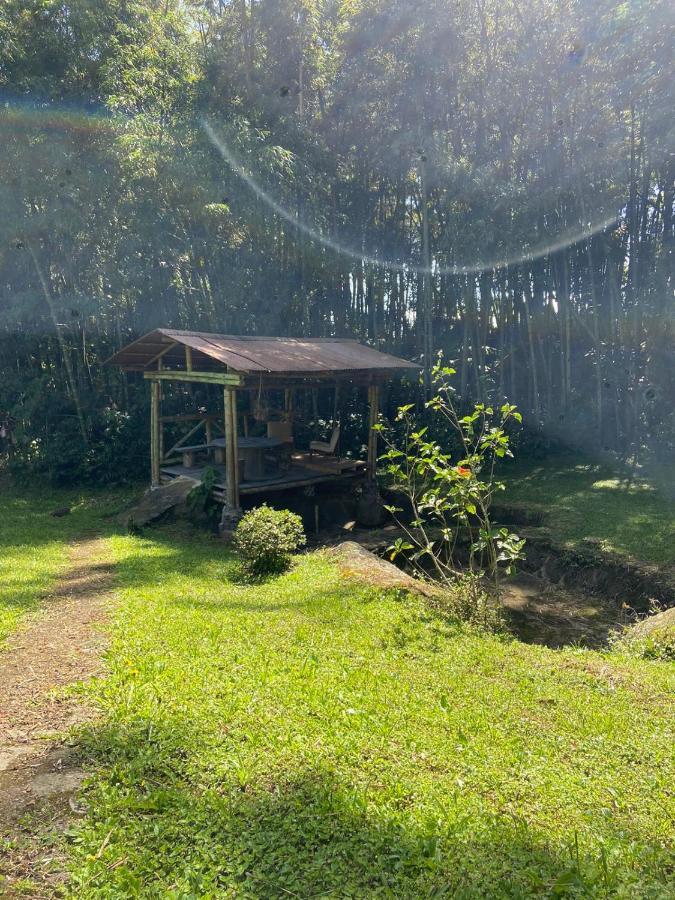 Finca Exclusividad Familiar O Grupo De Amigos Capacidad Hasta 12 Personas Calles En Placa Huella, Caminata Ecologica Alban  Eksteriør bilde