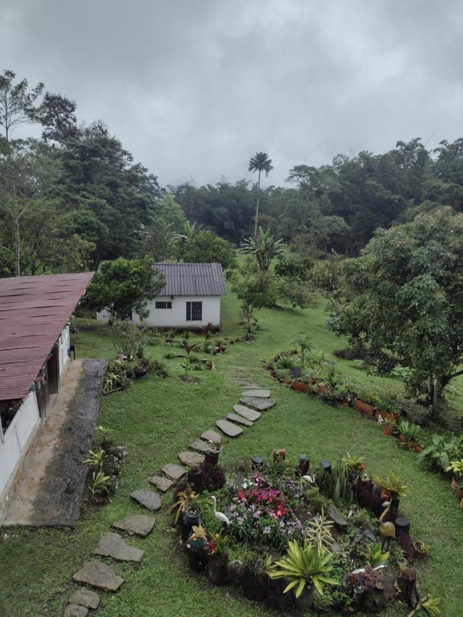 Finca Exclusividad Familiar O Grupo De Amigos Capacidad Hasta 12 Personas Calles En Placa Huella, Caminata Ecologica Alban  Eksteriør bilde