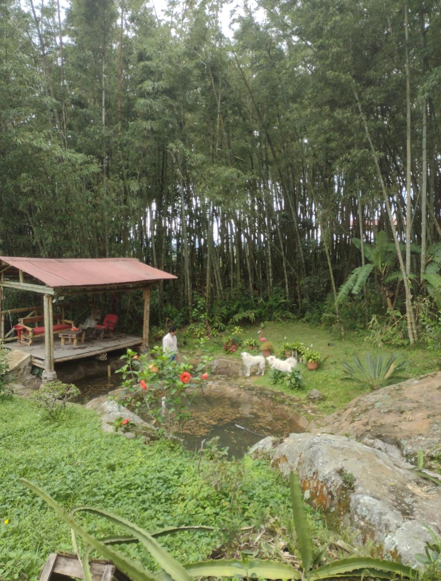 Finca Exclusividad Familiar O Grupo De Amigos Capacidad Hasta 12 Personas Calles En Placa Huella, Caminata Ecologica Alban  Eksteriør bilde