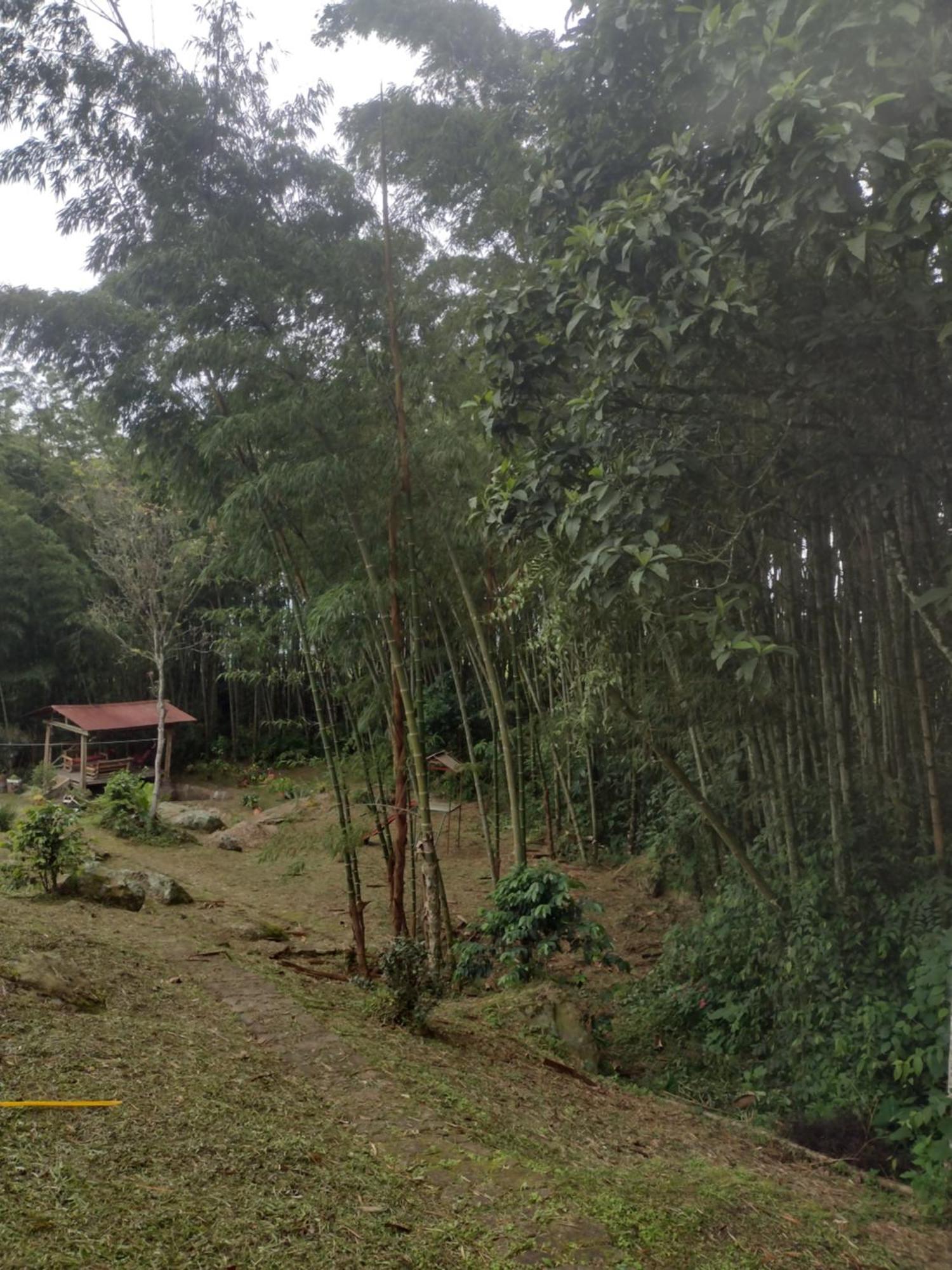 Finca Exclusividad Familiar O Grupo De Amigos Capacidad Hasta 12 Personas Calles En Placa Huella, Caminata Ecologica Alban  Eksteriør bilde