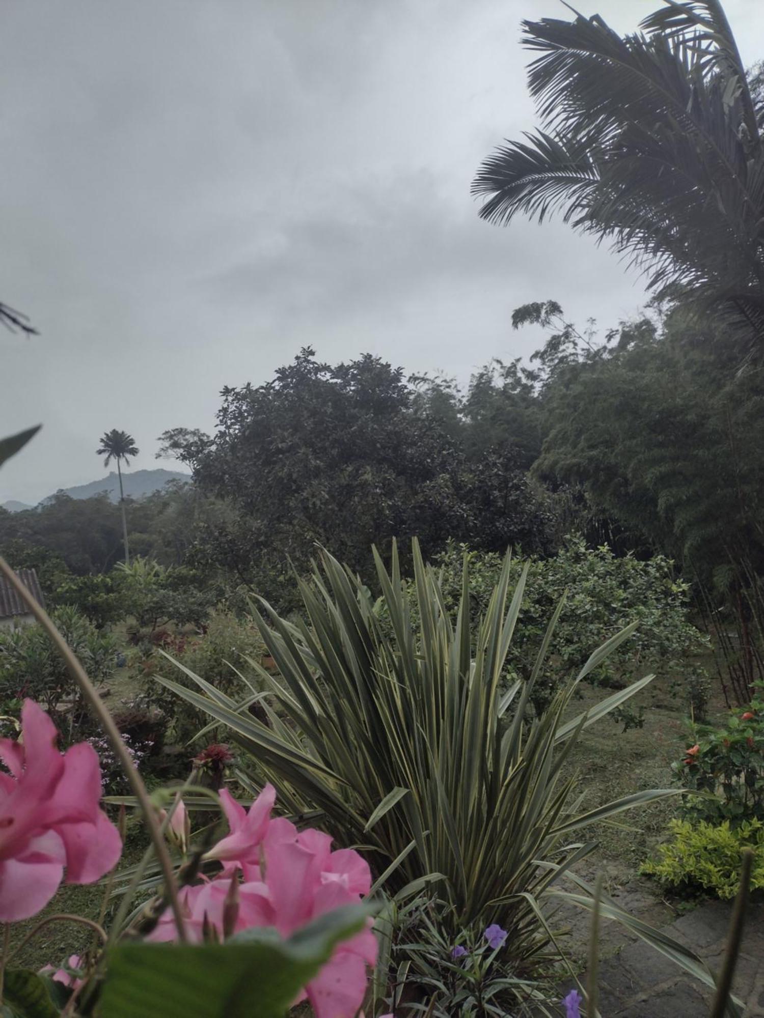 Finca Exclusividad Familiar O Grupo De Amigos Capacidad Hasta 12 Personas Calles En Placa Huella, Caminata Ecologica Alban  Eksteriør bilde